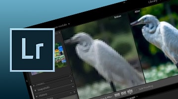 Lightroom